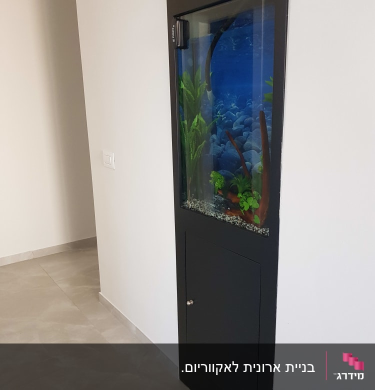 אקווריום מובנה בקיר עם דלת תחתונה